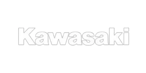 Monster Energy Kawasaki